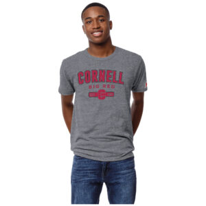 Men's League Collegiate Wear Heather Gray Cornell Big Red Victory Falls Tri-Blend T-Shirt