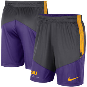 Men's Nike Anthracite/Purple LSU Tigers Team Performance Knit Shorts