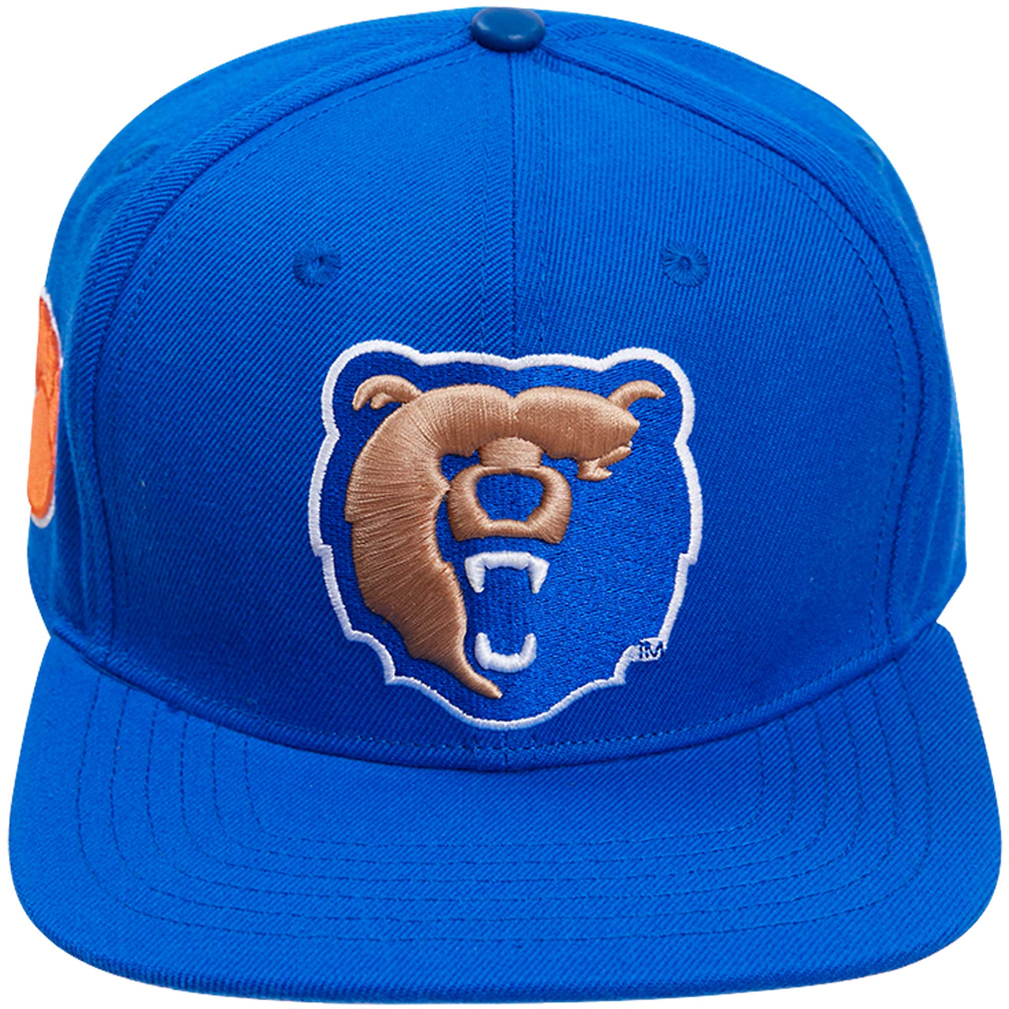 Men's Pro Standard Royal Morgan State Bears Evergreen Mascot Snapback Hat - Image 14
