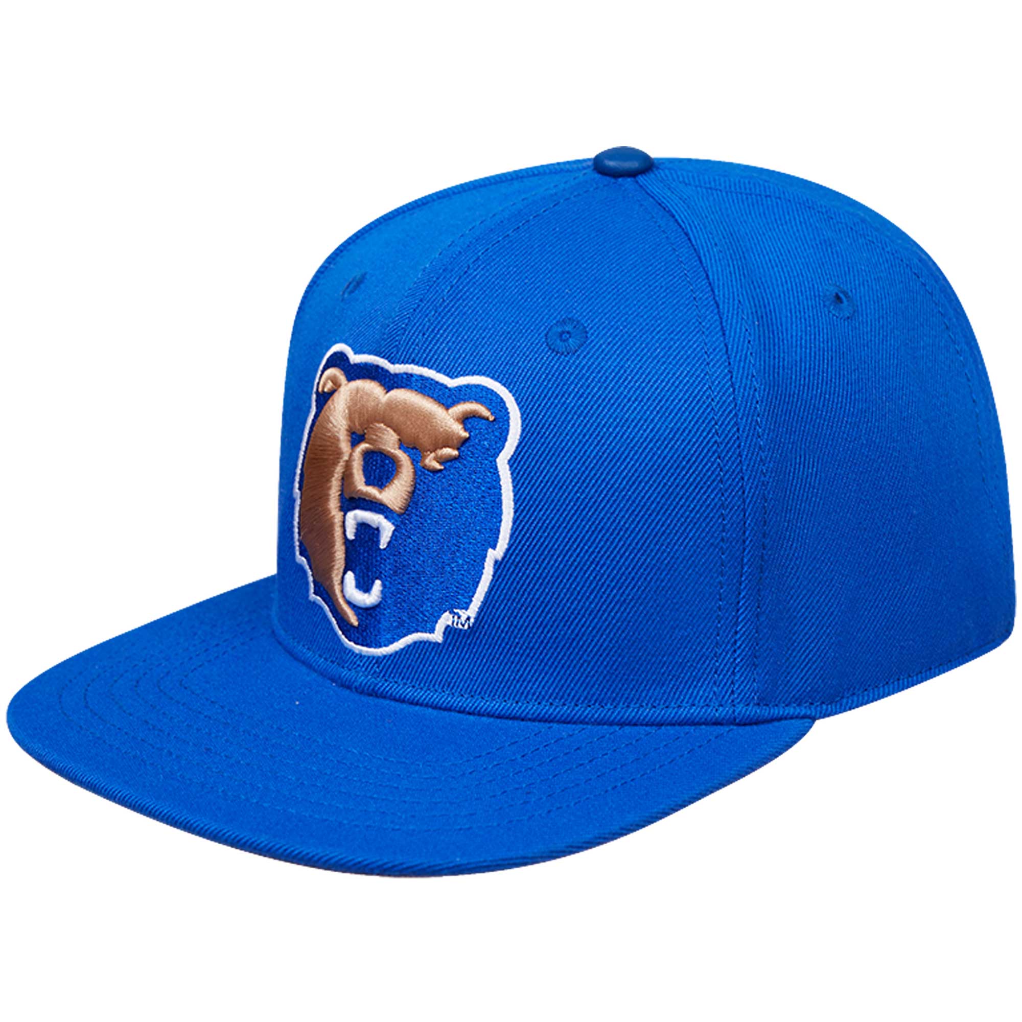 Men's Pro Standard Royal Morgan State Bears Evergreen Mascot Snapback Hat - Image 15