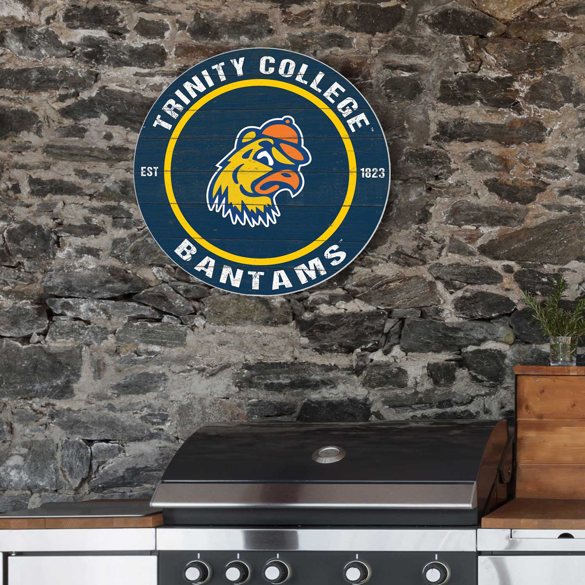 Trinity Bantams 20'' x 20'' Indoor/Outdoor Weathered Circle Sign - Image 5