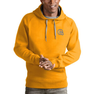 Men's Antigua Gold Albany State Golden Rams Victory Pullover Hoodie