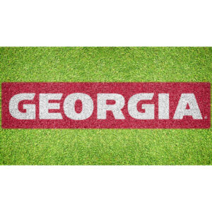 Georgia Bulldogs 134'' x 23'' Original Stencil Kit