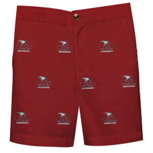 Youth Maroon North Carolina Central Eagles Team Logo Structured Shorts