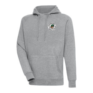 Men's Antigua  Heather Gray Down East Wood Ducks Victory Pullover Hoodie