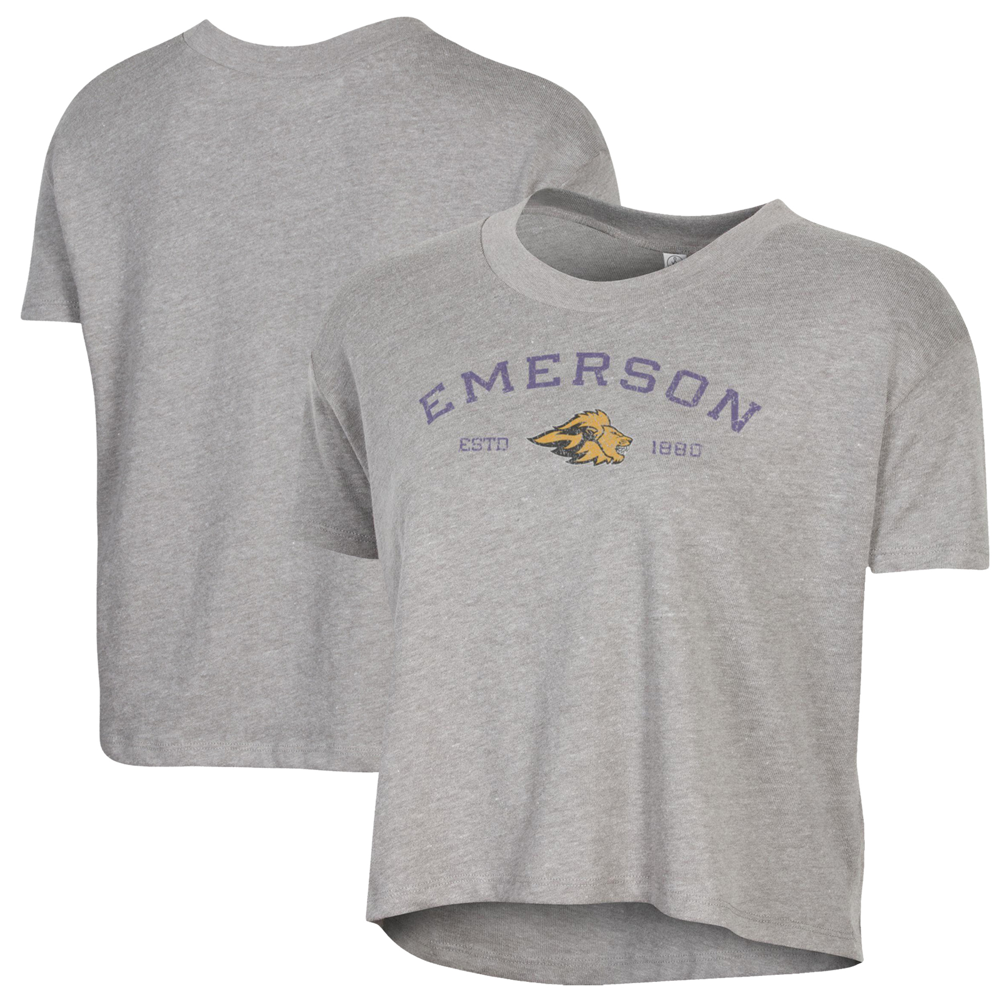 Women's Alternative Apparel Gray Emerson College Lions Retro Jersey Headliner Cropped T-Shirt