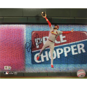 St. Louis Cardinals Dylan Carlson Autographed Fielding Photo