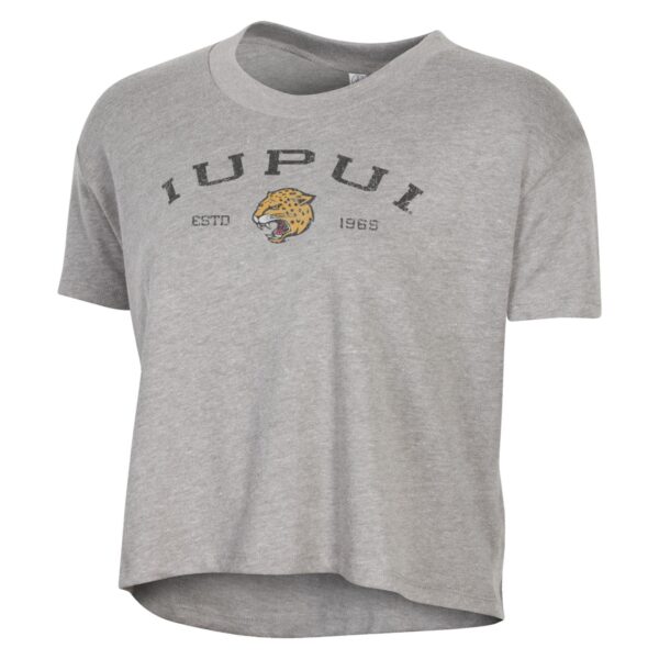 Women's Alternative Apparel  Gray IUPUI Jaguars Retro Jersey Headliner Cropped T-Shirt - Image 6