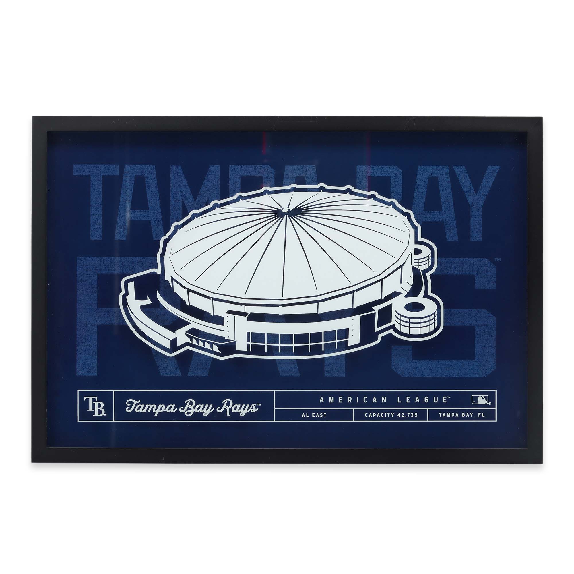 Tampa Bay Rays 16'' x 23'' Stadium Glass Framed Sign