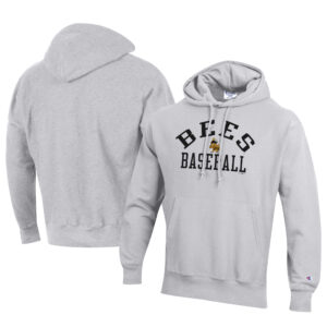 Men's Champion Gray Salt Lake Bees Baseball Reverse Weave Pullover Hoodie