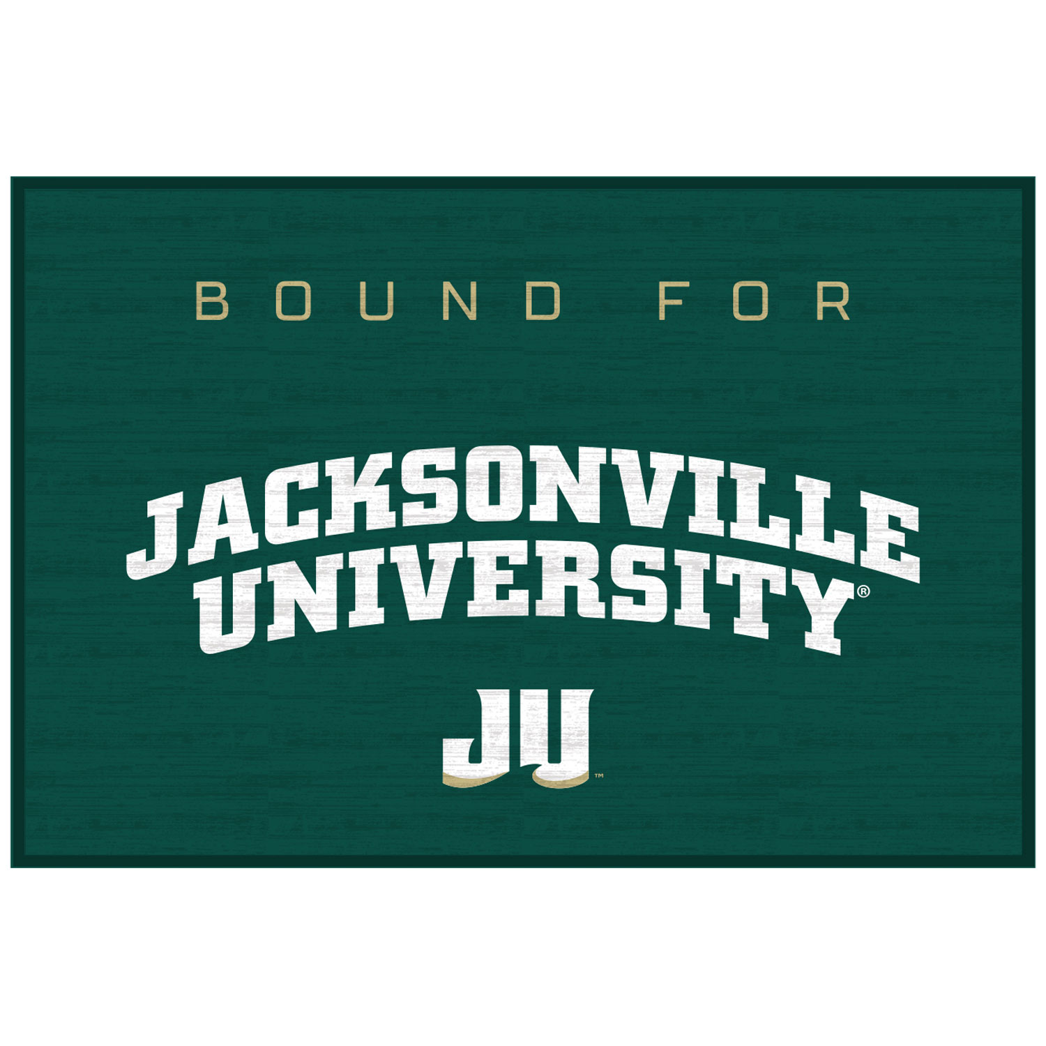 JU Dolphins 20'' x 30'' School Bound Floor Mat