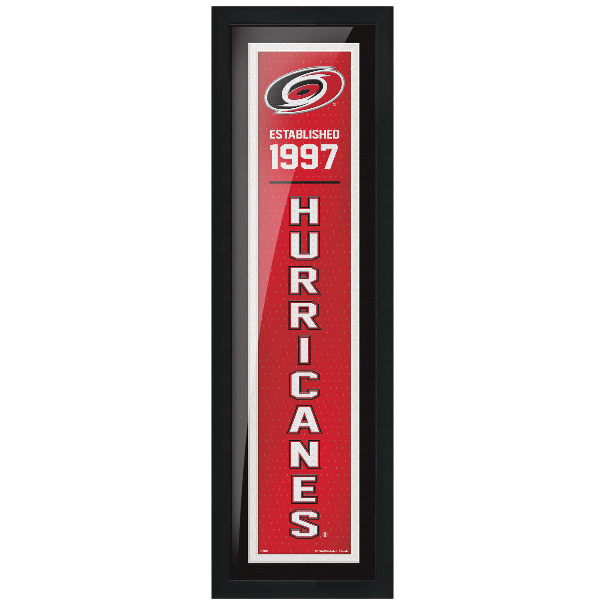 Carolina Hurricanes 6" x 22" Established Framed Artwork