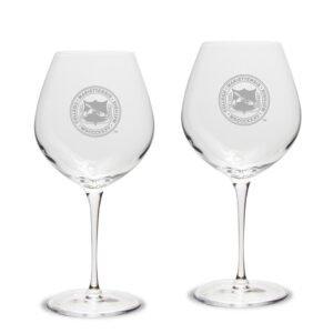 Marietta College Pioneers 22oz. Team Two-Piece Luigi Bormioli Titanium Robusto Wine Glass Set