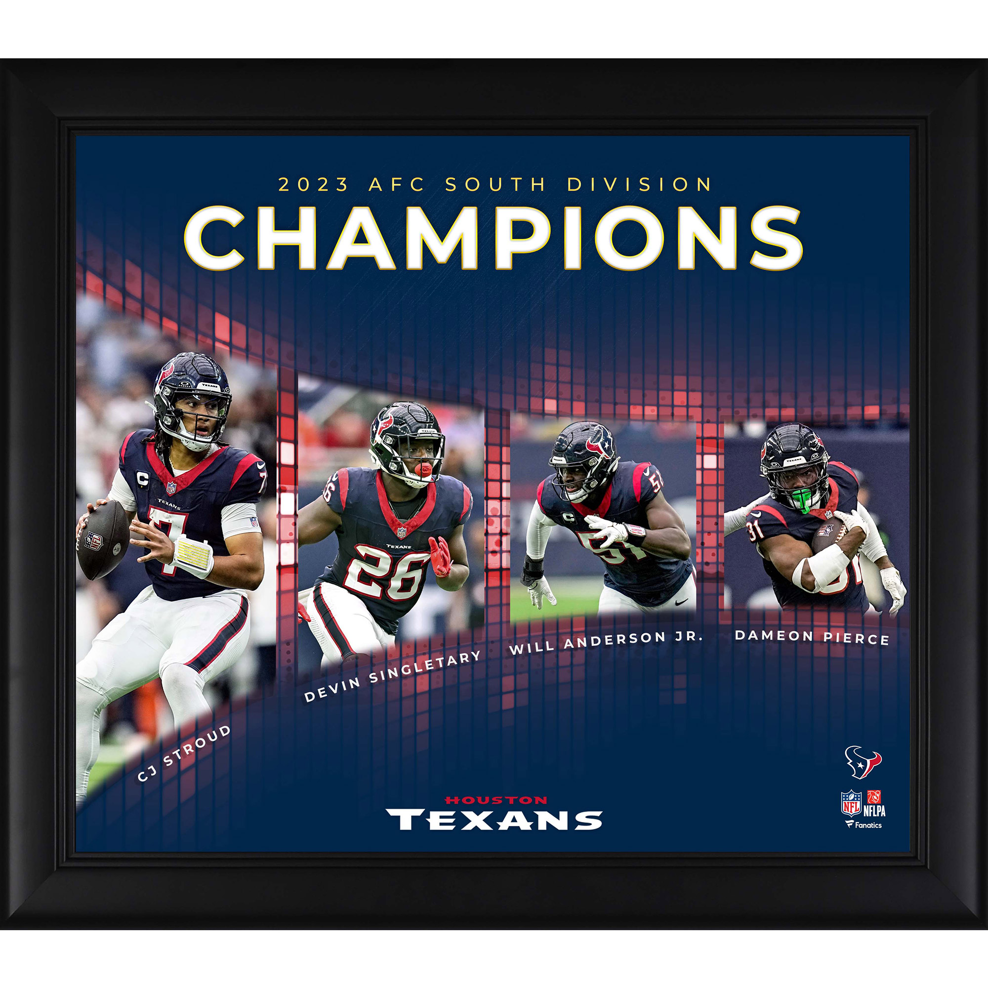 Houston Texans 2023 AFC South Division Champions 15" x 17" Collage