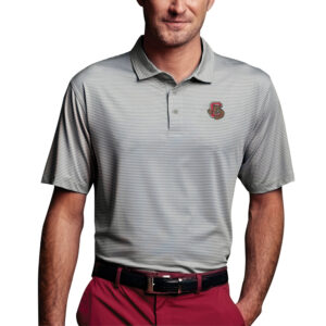 Men's Charcoal Cornell Big Red Vansport Pro Tonal Micro-Stripe Polo