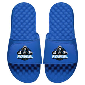 Men's ISlide  Royal AJ Styles Slide Sandals