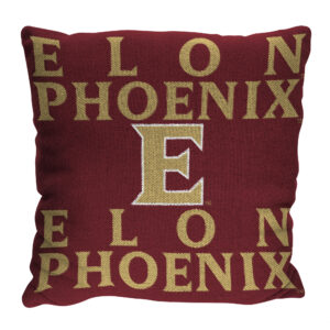 The Northwest Group  Elon Phoenix 20" x 20" Stacked Pillow
