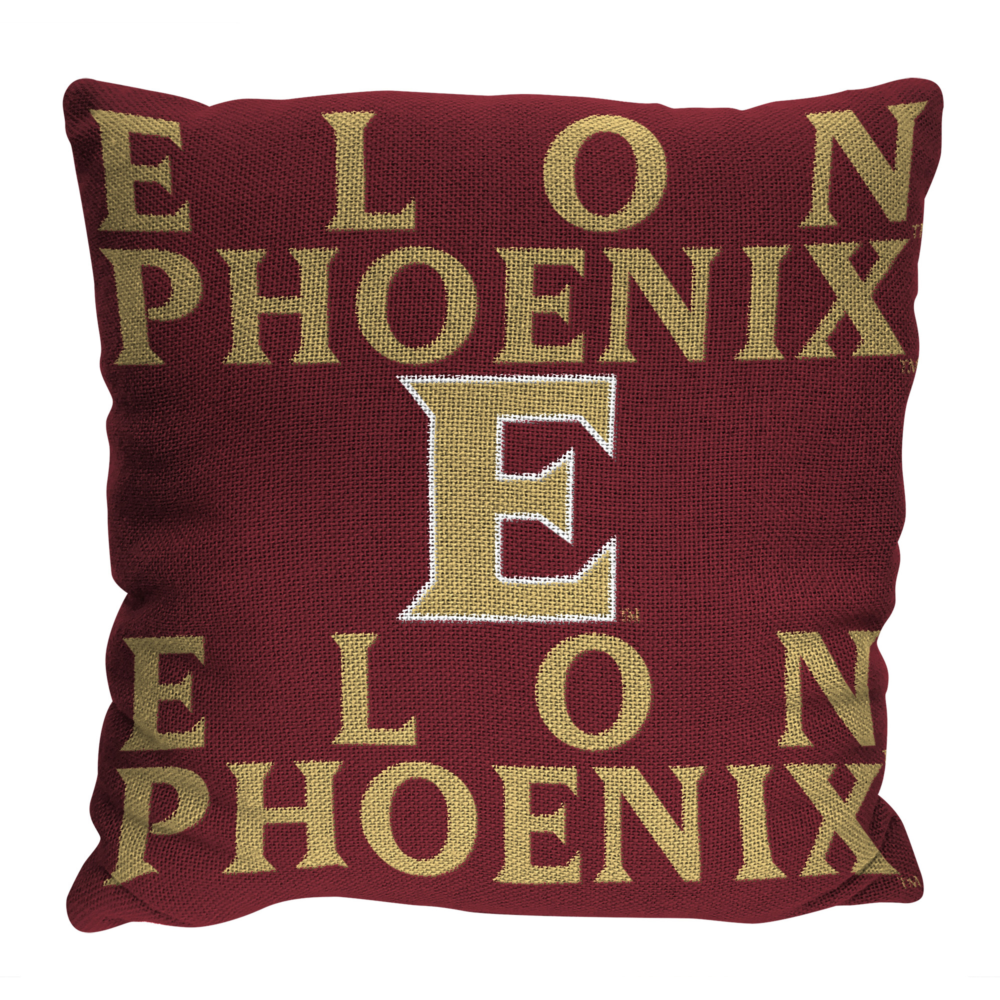 The Northwest Group Elon Phoenix 20" x 20" Stacked Pillow