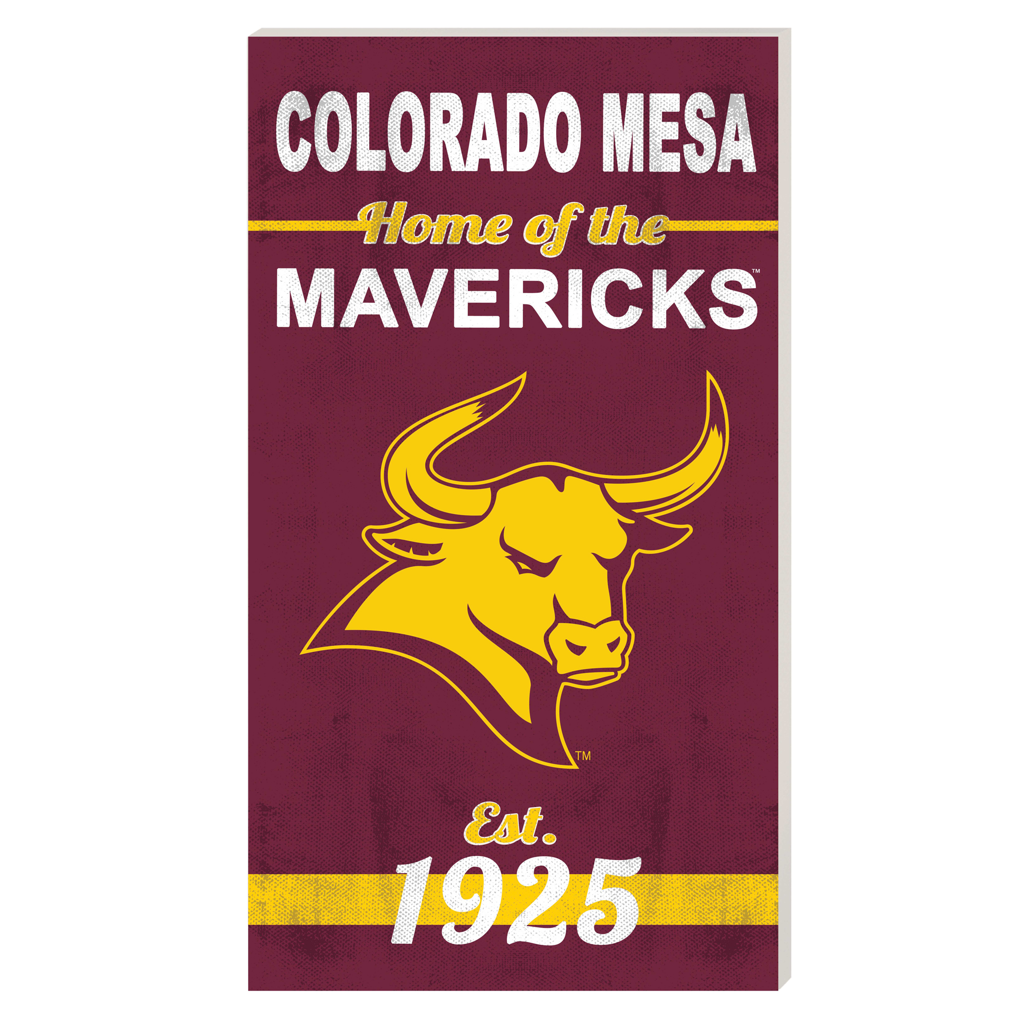 CMU Mavericks 11'' x 20'' Indoor/Outdoor Home Sign