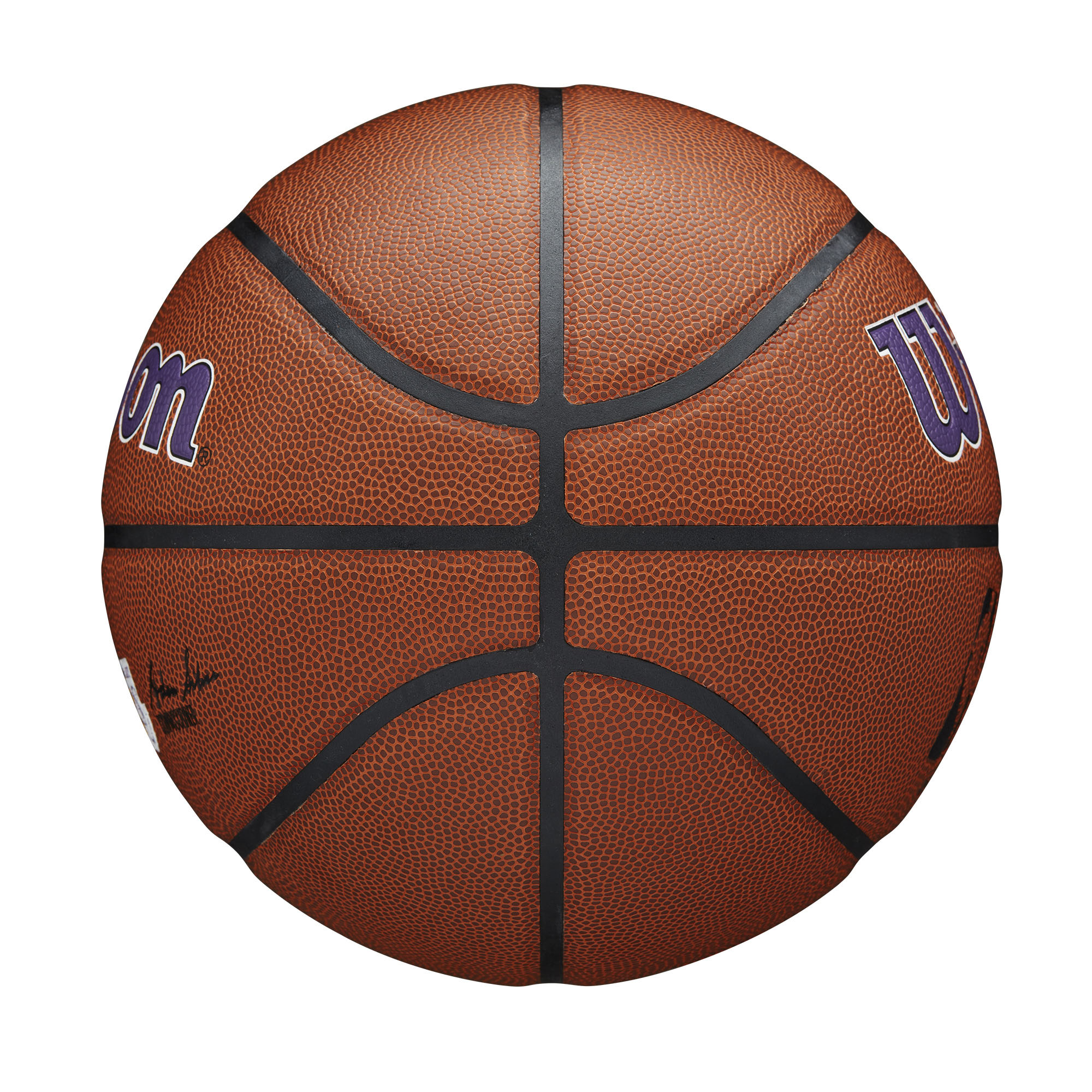 Los Angeles Lakers Wilson NBA Team Alliance Basketball - Image 11