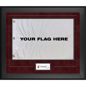 Shriners Hospitals for Children Open 23" x 27" Pin Flag Frame