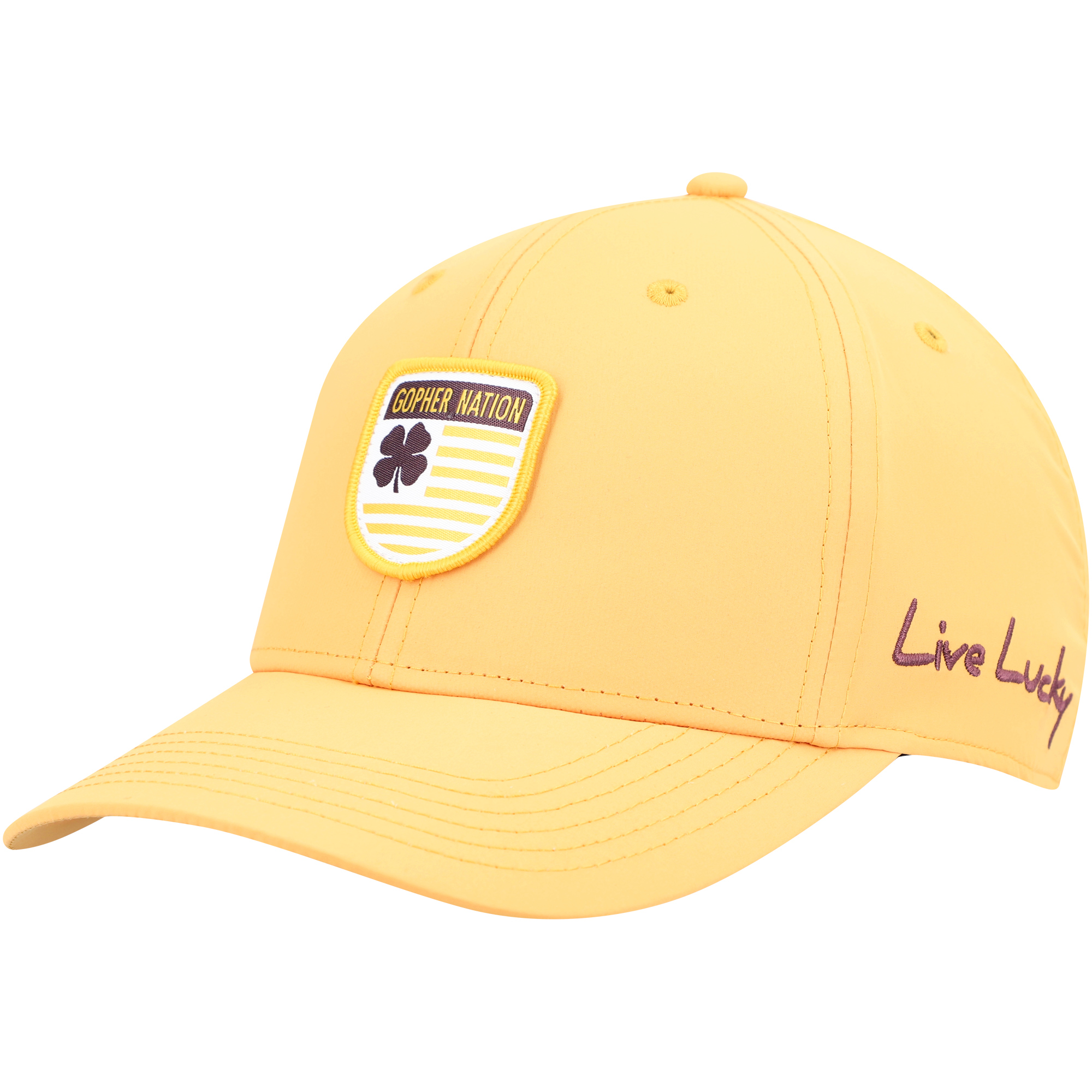 Men's Gold Minnesota Golden Gophers Nation Shield Snapback Hat - Image 7
