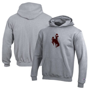 Men's Under Armour Black Arkansas Travelers Performance Long Sleeve T-Shirt