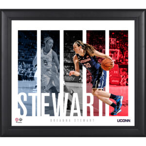 Breanna Stewart UConn Huskies Framed 15" x 17" Player Panel Collage