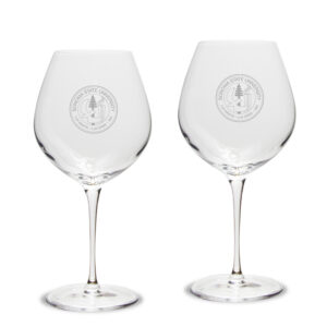 Sonoma State Seawolves 22oz. 2-Piece Luigi Bormioli Titanium Robusto Wine Glass Set