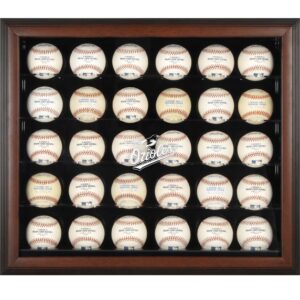 Baltimore Orioles Logo Brown Framed 30-Ball Display Case