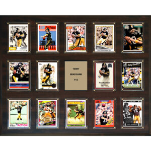 Terry Bradshaw Pittsburgh Steelers 16'' x 20'' Plaque