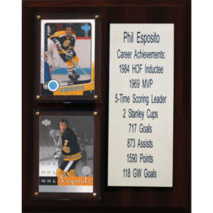 Phil Esposito Boston Bruins 8'' x 10'' Plaque