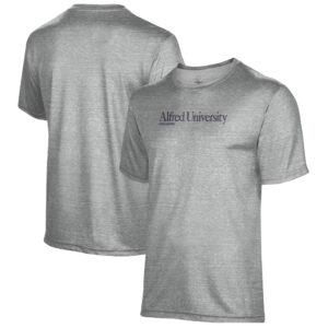 Men's Gray Alfred University Saxons Education Name Drop T-Shirt