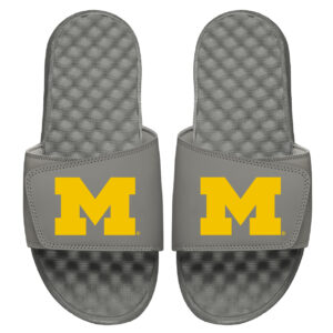 Men's ISlide Gray Michigan Wolverines Primary Logo Slides