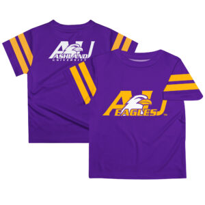 Youth Purple Ashland Eagles Team Logo Stripes T-Shirt