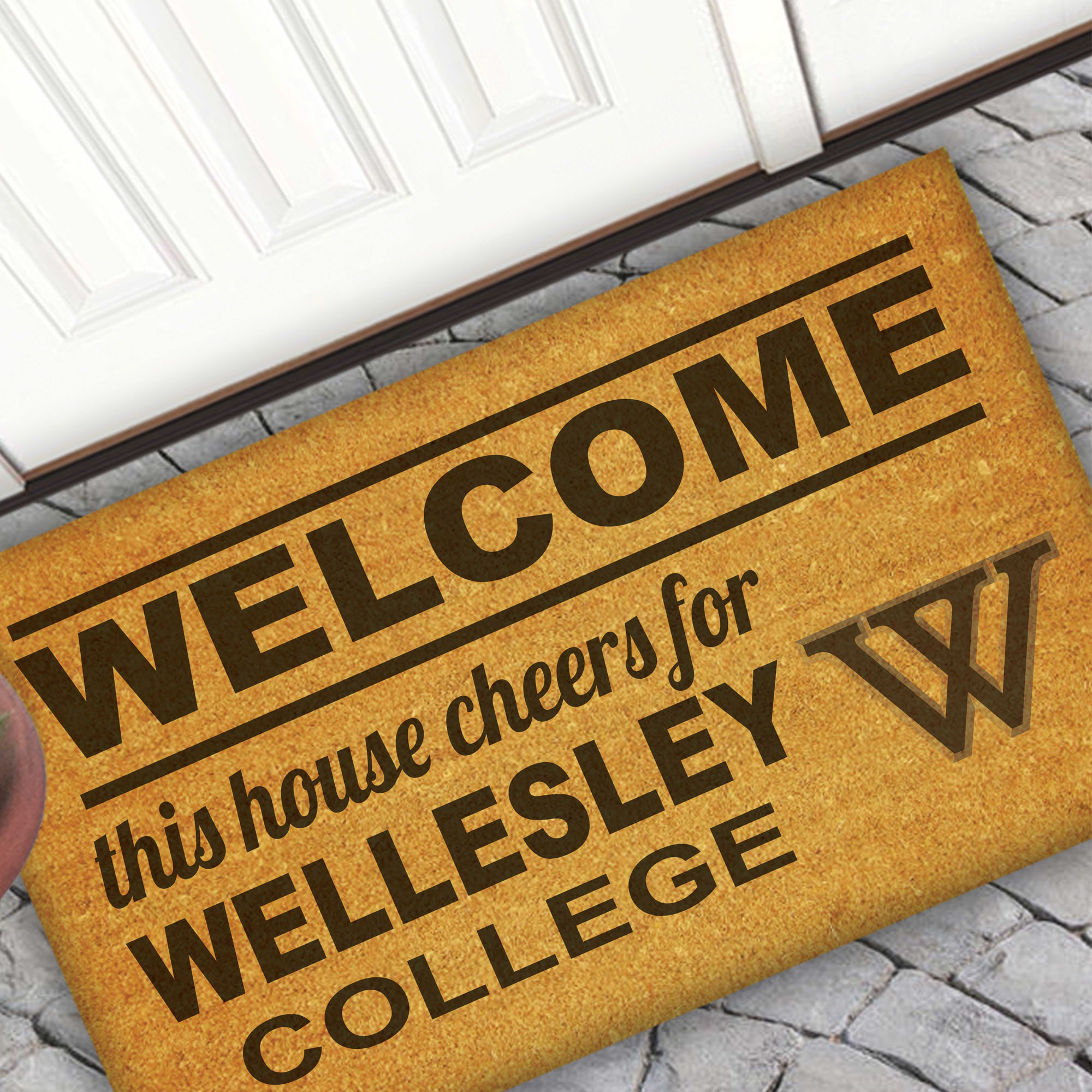 Wellesley Blue 18" x 30" Welcome Doormat - Image 5