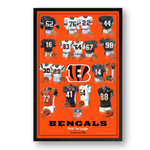 Cincinnati Bengals 27" x 39" Uniform Heritage Framed Art Print