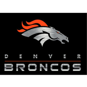 Denver Broncos Imperial 3'10'' x 5'4'' Chrome Rug