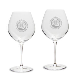 Claflin Panthers 22oz. 2-Piece Luigi Bormioli Titanium Robusto Wine Glass Set