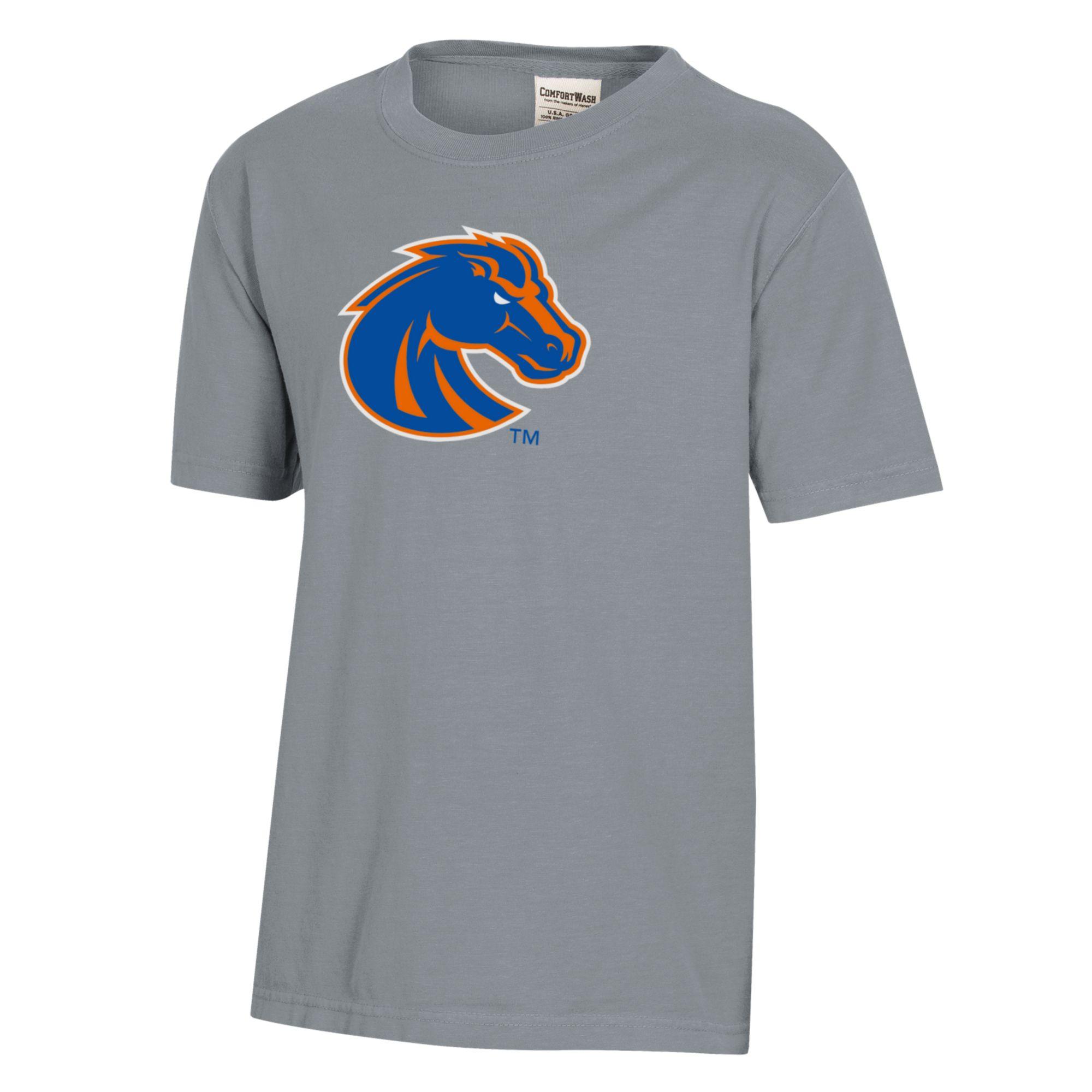 Youth Gray Boise State Broncos Logo Comfort Wash T-Shirt - Image 10