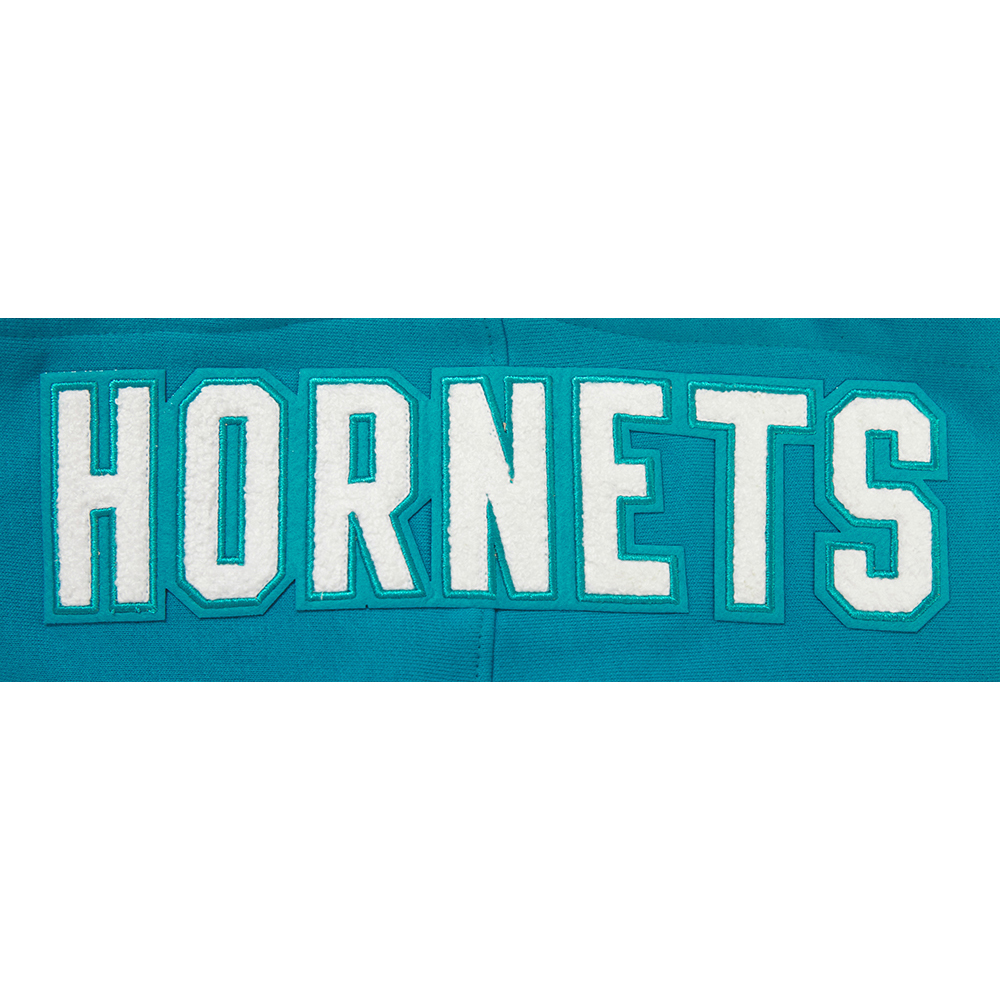 Men's Pro Standard Teal Charlotte Hornets 2023/24 City Edition Pullover Hoodie - Image 5