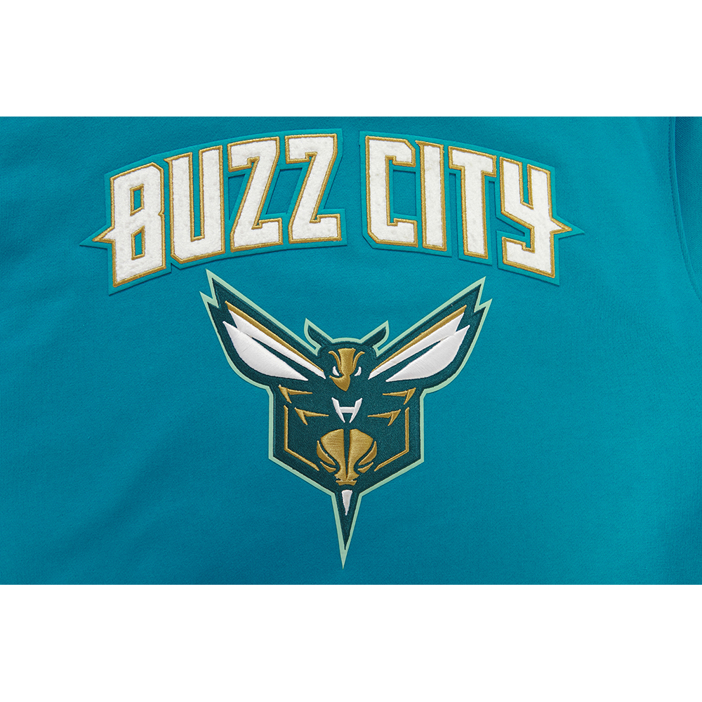 Men's Pro Standard Teal Charlotte Hornets 2023/24 City Edition Pullover Hoodie - Image 6