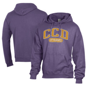 Men's Comfort Wash  Purple CCD CityHawks Lightweight Fleece Pullover Hoodie