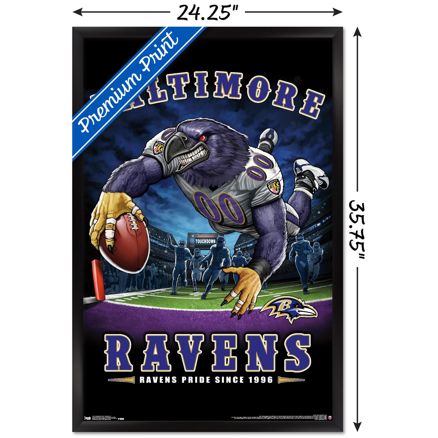 Baltimore Ravens 24.25'' x 35.75'' Framed Mascot Endzone Poster - Image 4