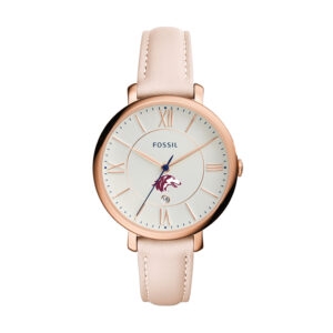 Women's Fossil Pink Southern Illinois Salukis Jacqueline Date Blush Leather Watch