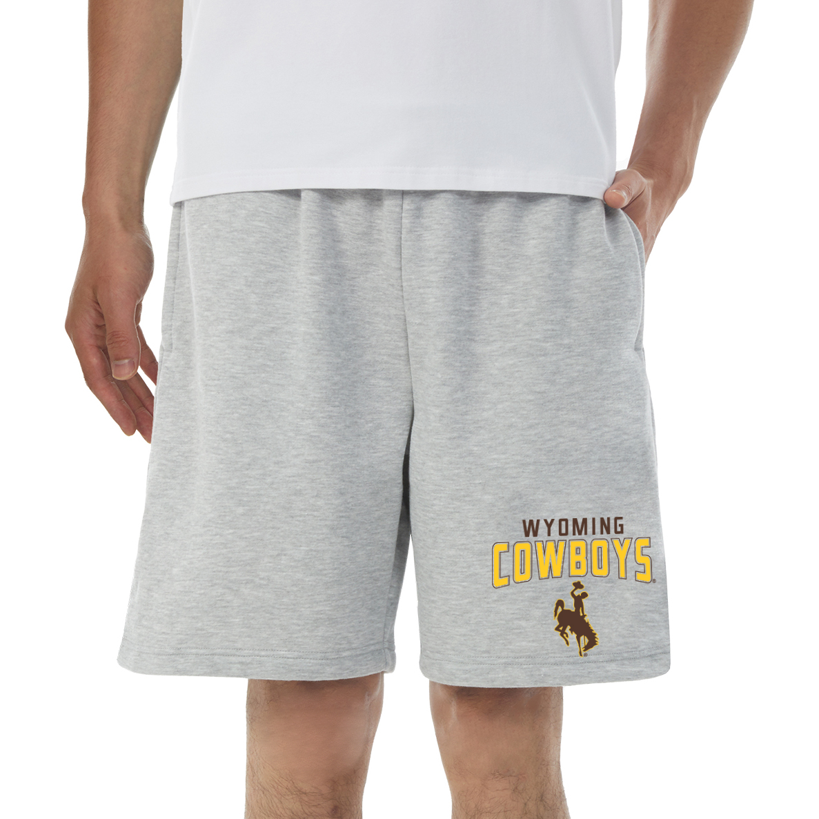 Men's Concepts Sport Gray Wyoming Cowboys Baritone Fleece Shorts