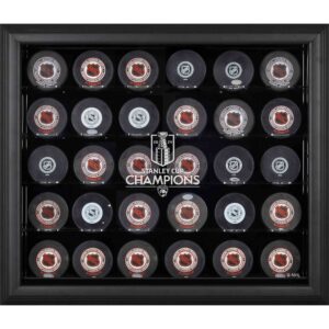 Florida Panthers  2024 Stanley Cup Champions Black Framed 30-Puck Logo Display Case