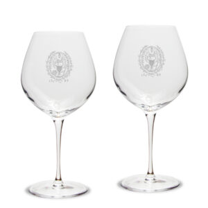 Georgetown Hoyas 2-Piece 22oz. Luigi Bormioli Titanium Robusto Wine Glass Set
