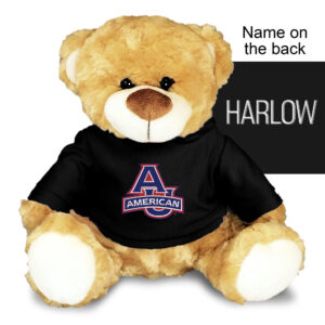 Chad & Jake American University Eagles Personalized Plush Bear
