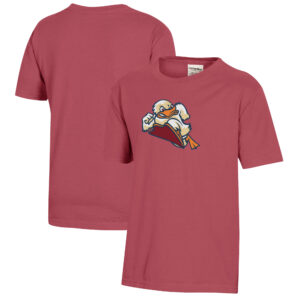 Youth  Crimson Stevens Institute of Technology Ducks Logo Comfort Wash T-Shirt